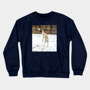 Anatolian shepherd catching a snowball Crewneck Sweatshirt